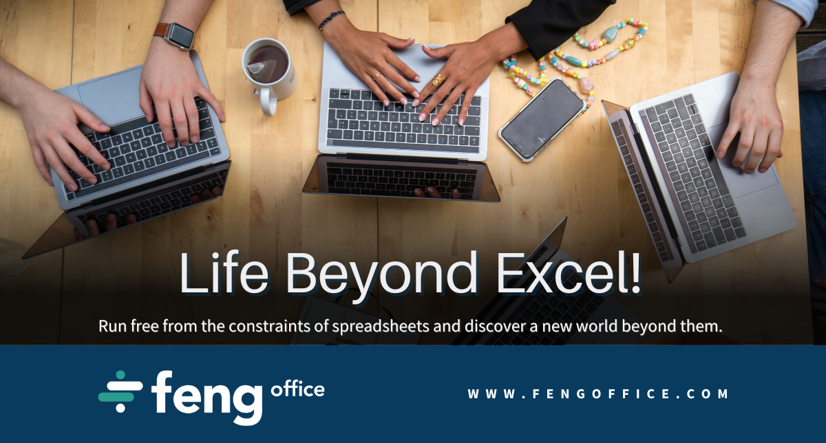 Life Beyond Excel With Feng Office