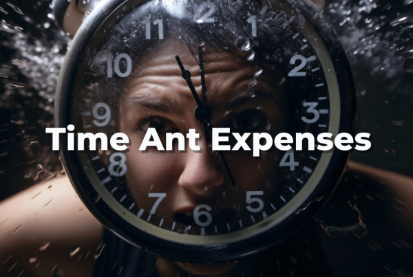 Project Management Time Ant-Expenses